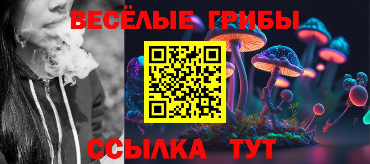 Гулькевичи  Галлюциногенные грибы GOLDEN TEACHER  Вход с VPN  Псилоцибиновые грибы MAGIC MUSHROOMS 